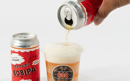 小山市の農作物を使ったHandMadeクラフトビール　808ブルワリー【配送不可地域：離島】【1231228】