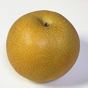 栃木県小山市産「梨」甘太　5kg【1334084】