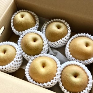 栃木県小山市産「梨」甘太　5kg【1334084】