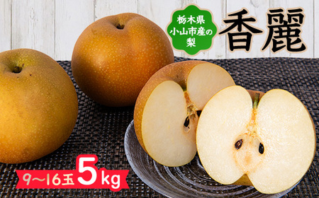 栃木県小山市産「梨」香麗 5kg【1413077】