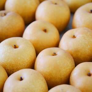 栃木県小山市産「梨」幸水5kg【1413078】