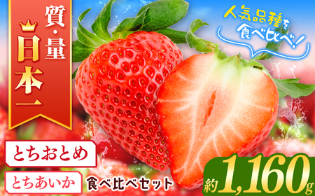 JAはが野厳選！ とちおとめ、とちあいか食べ比べ (290g×4パック）約1,160g