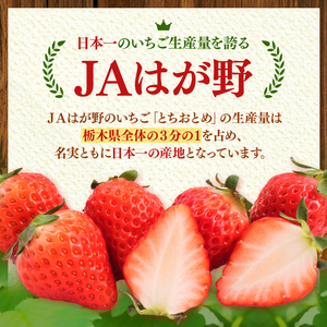 JAはが野厳選！ とちおとめ、とちあいか食べ比べ (290g×4パック）約1,160g