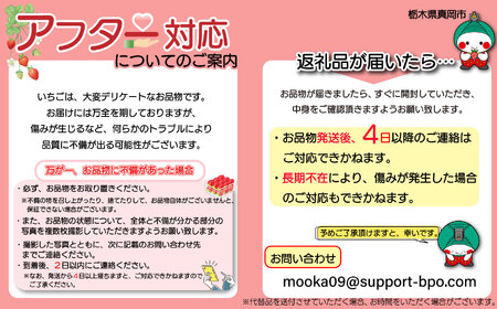 JAはが野厳選！ とちおとめ、とちあいか食べ比べ (290g×4パック）約1,160g