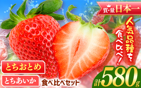 JAはが野厳選！ とちおとめ、とちあいか 食べ比べ セット (290g×2パック）約580g