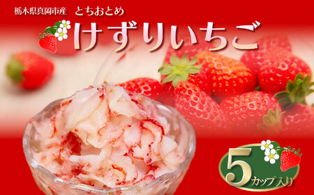 いちご農家の『けずりいちご』５カップ入り