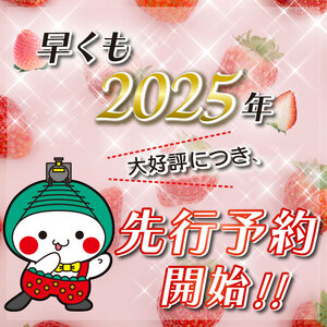 【先行予約】鮮度抜群！朝採れ旬のとちあいか 約1500g以上 真岡市 栃木県 送料無料