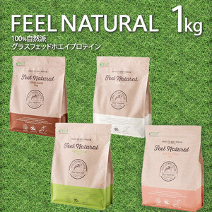 FEEL NATURAL プロテイン ミルクティー