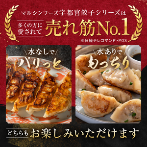 【定期便12回】宇都宮肉餃子 14個入り×6 ケース(1箱) 