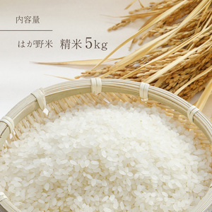 はが野米 こしひかり 5kg 令和7年度 新米