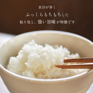 はが野米 こしひかり 5kg 令和7年度 新米