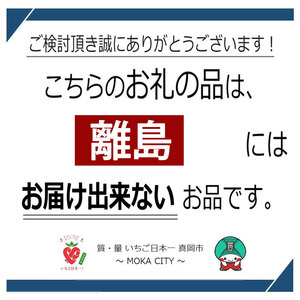 Yogibo Ghost Premium クリームホワイト（ヨギボー ゴースト プレミアム）