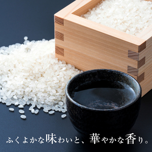 辻善兵衛商店 「全国新酒鑑評会 11年連続金賞受賞」 桜川 大吟醸  雫酒 720ml 