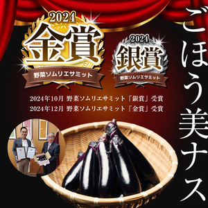 野菜ソムリエサミット金賞「ごほう美ナス」 約1kg