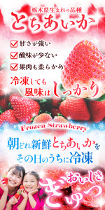 【数量限定】 完熟！冷凍とちあいか 約1kg【2026年先行予約】