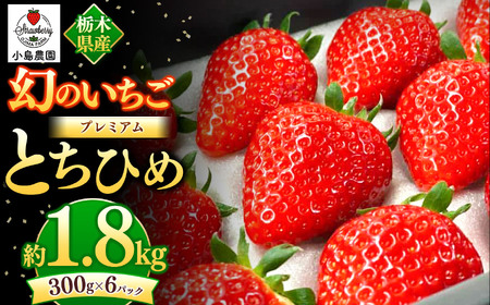 幻のプレミアムいちご とちひめ 1800g 6,390円