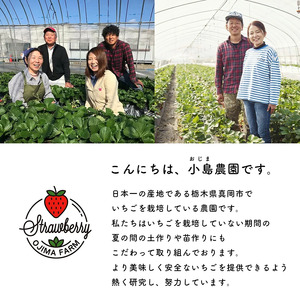 とちひめ とちあいか 食べ比べ プレミアム 幻のいちご