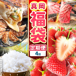 【定期便4回】真岡の グルメ 定期便 いちご お米 餃子 お肉