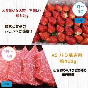 【定期便4回】真岡の グルメ 定期便 いちご お米 餃子 お肉