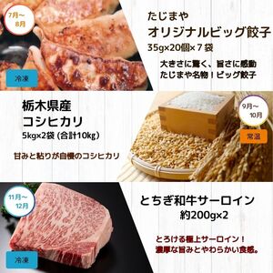 【定期便6回】真岡のグルメ 定期便 いちご ピラフ お米 初恋糖 餃子 お肉