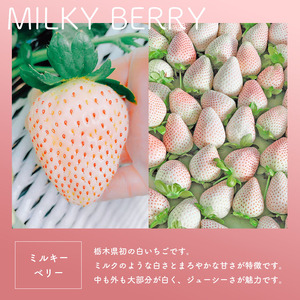 真岡市産 赤い宝石「とちあいか」いちご イチゴ 選べる 約1.2kg | 苺 strawberry ストロベリー おいしい 甘い ジューシー 贈答用 プレゼント ご褒美 スイーツ おやつ 高評価 人気 レビュー 栃木県 真岡市 日本一 送料無料