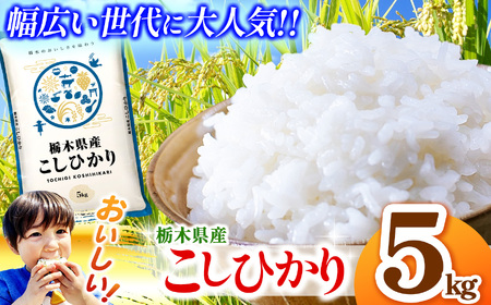 栃木県産 コシヒカリ 5kg 