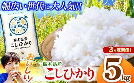 【定期便3回】栃木県産コシヒカリ 5kg