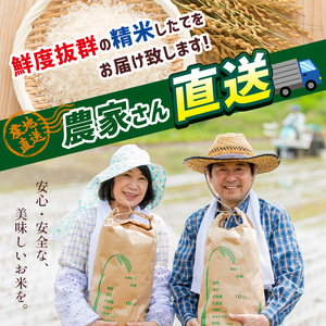 【定期便3回】栃木県産コシヒカリ 5kg