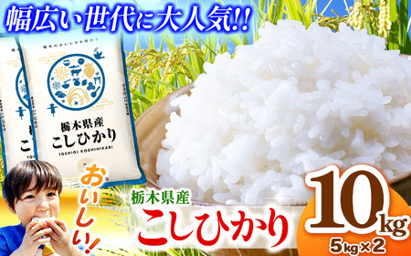 栃木県産コシヒカリ 5kg×2 (10kg)