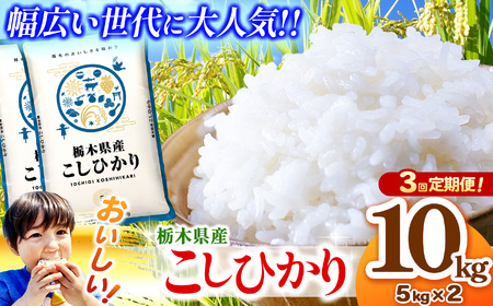 【定期便3回】栃木県産コシヒカリ 5kg×2 (10kg) 