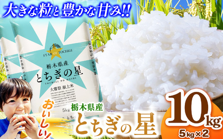 とちぎの星 5kg×2 (10kg) 