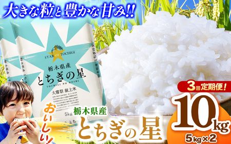 【定期便3回】とちぎの星 5kg×2 (10kg) 