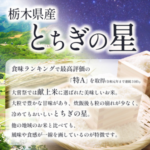 【定期便3回】とちぎの星 5kg×2 (10kg) 