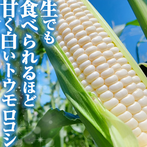 【先行予約】トウモロコシ王子の「美白の甘姫」8本 