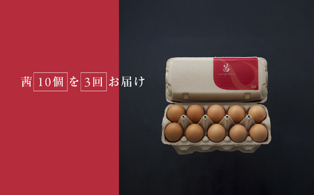 【定期便3回】見た目も旨みも想像以上 箱庭たまご 「箱庭茜」 10個 