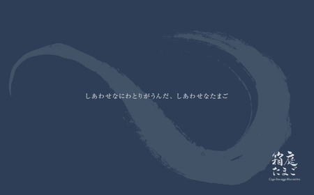 【定期便3回】見た目も旨みも想像以上 箱庭たまご 「箱庭茜」 10個 