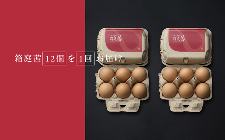 見た目も旨みも想像以上 箱庭たまご 「箱庭茜」 12個 