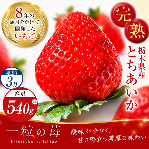 【3月発送】完熟いちご とちあいか 540g