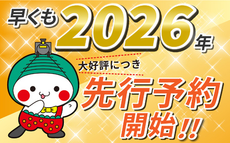 2026年先行予約【訳あり】パッションフルーツ