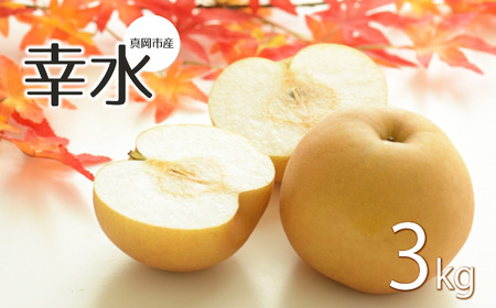 【2026年先行予約】 幸水 3㎏ 真岡市産 梨 なし