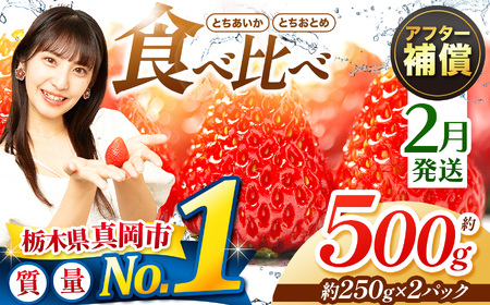 【2月発送】いちご とちおとめ・とちあいか 食べ比べ 500g