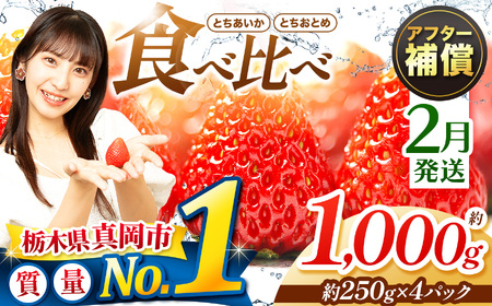 【2月発送】いちご とちおとめ・とちあいか 食べ比べ 1000g