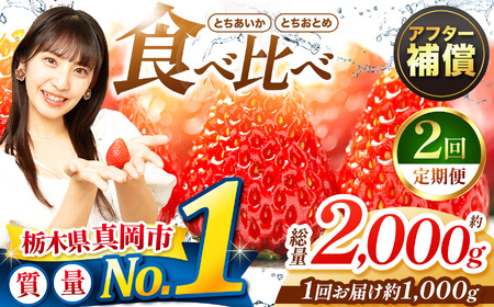 【定期便2回】いちご とちおとめ・とちあいか 食べ比べ 1000g