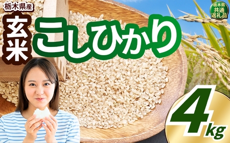 こしひかり 玄米 約4kg