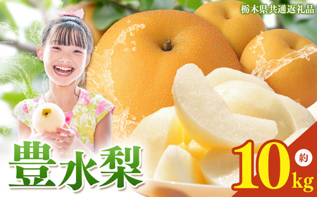 栃木県産梨 豊水 10kg