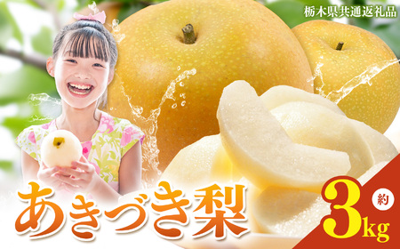 栃木県産梨 あきづき 3kg