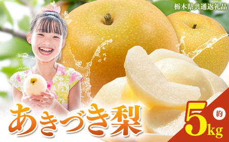 栃木県産梨 あきづき 5kg