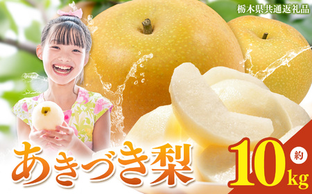 栃木県産梨 あきづき 10kg