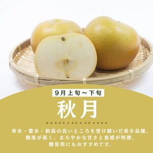 栃木県産梨 あきづき 10kg