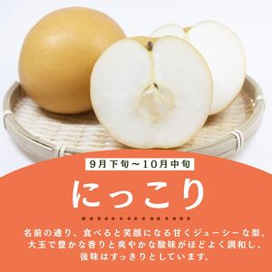 栃木県産梨 にっこり 3kg